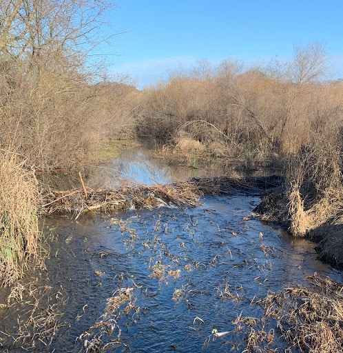 Miner’s Ravine Trail