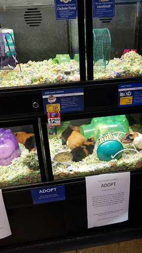 Pet Supply Store «PetSmart», reviews and photos, 181 Wilson Ave, Hanover, PA 17331, USA