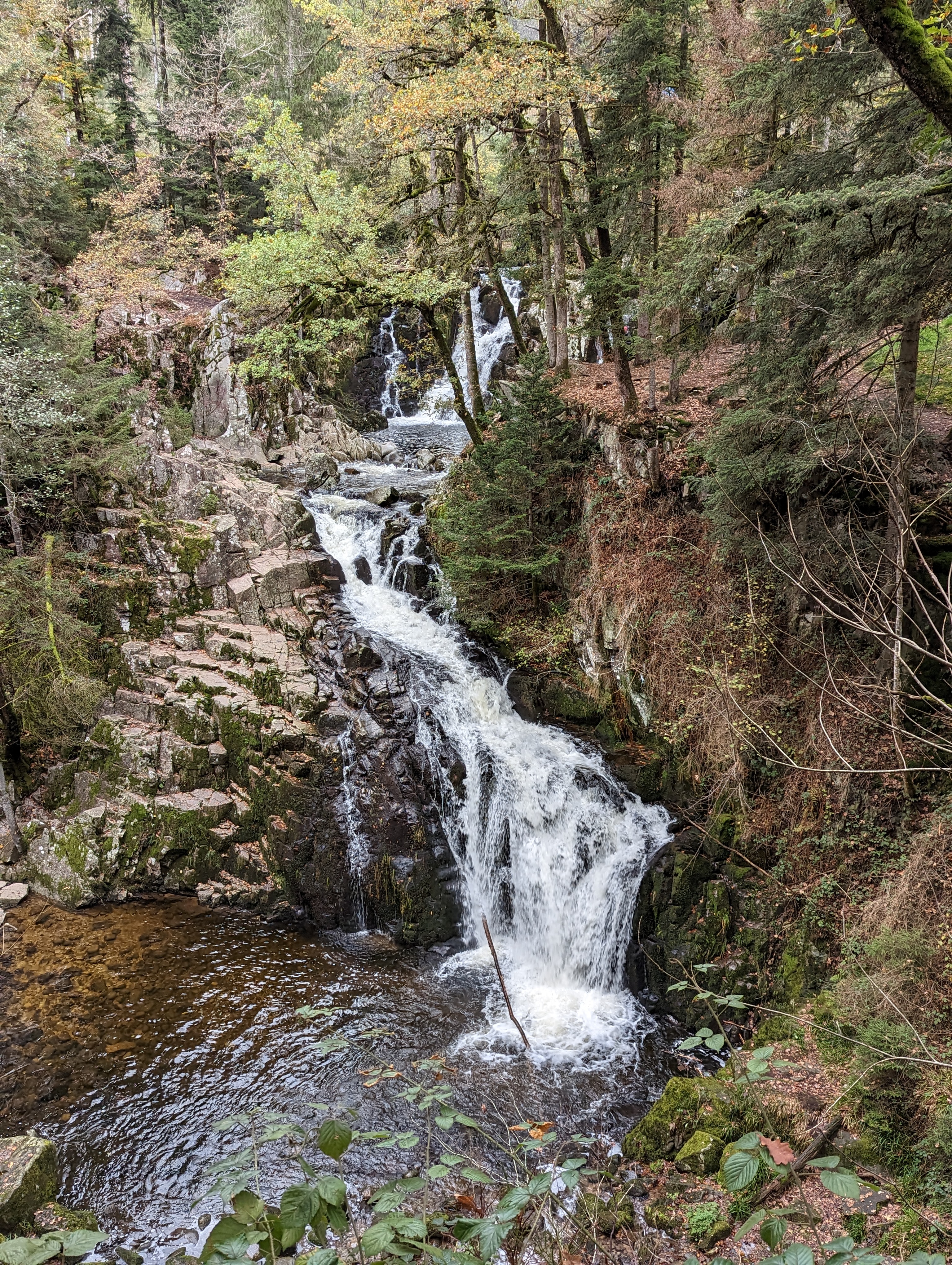 Photo n° 1 de l'avis de Kyukon.h fait le 10/11/2022 à 19:23