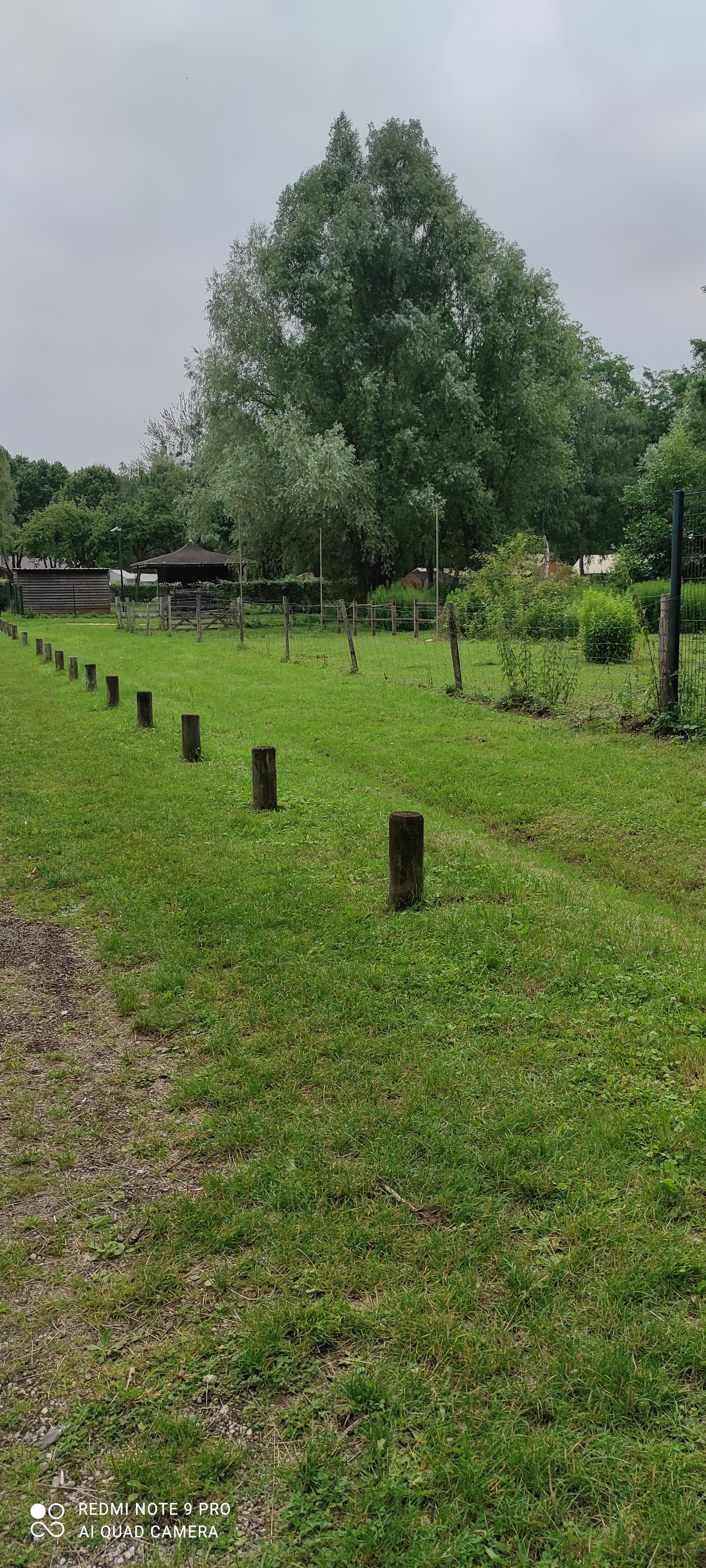 Photo n° 4 de l'avis de Magali.e fait le 17/07/2021 à 14:22