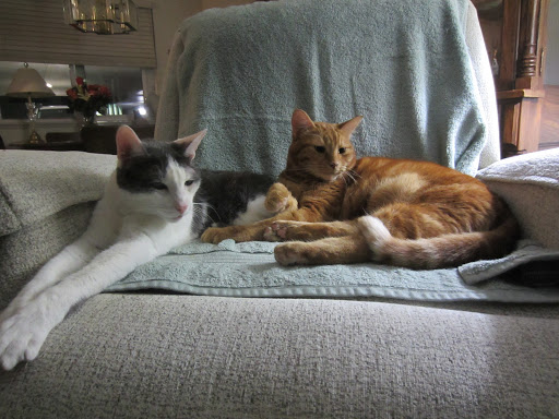 4411 Lacey Blvd SE, Lacey, WA 98503, USA