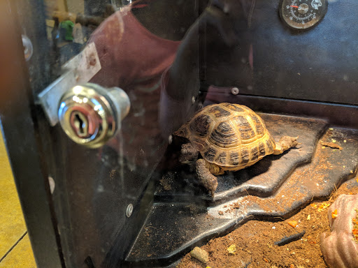 Pet Supply Store «PetSmart», reviews and photos, 2940 Chapel Hill Rd, Douglasville, GA 30135, USA