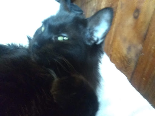 Pet Supply Store «Petco Animal Supplies», reviews and photos, 1960 Edinboro Rd, Erie, PA 16509, USA