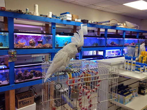 Tropical Fish Store «Fishy Business», reviews and photos, 911 E Church St, Lexington, TN 38351, USA