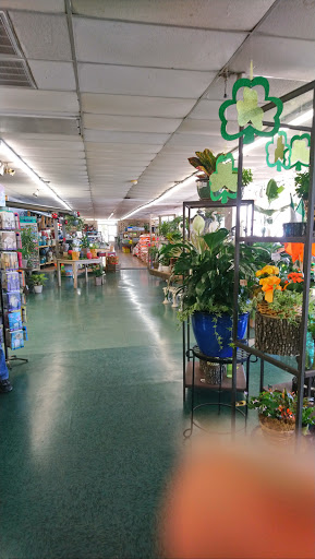 Florist «Jackson Florist Inc.», reviews and photos, 3124 Madison Ave, Covington, KY 41015, USA