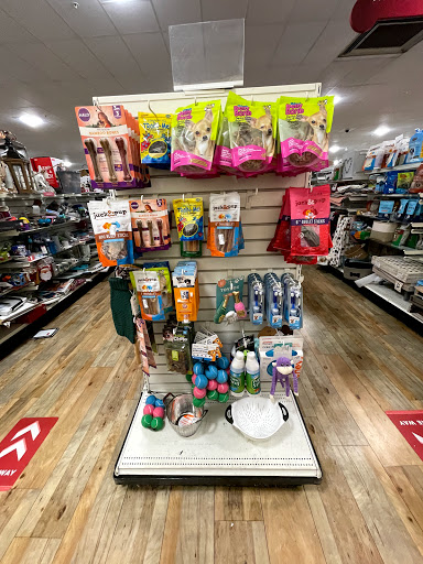 Department Store «HomeGoods», reviews and photos, 1945 W Lumsden Rd, Brandon, FL 33511, USA