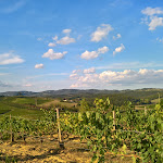 Photo n°5 de l'avis de dimitris.a fait le 17/04/2019 à 22:56 sur le  Villa il Castagno Wine Resort & Restaurant à Siena