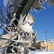 Moose Antler Arch