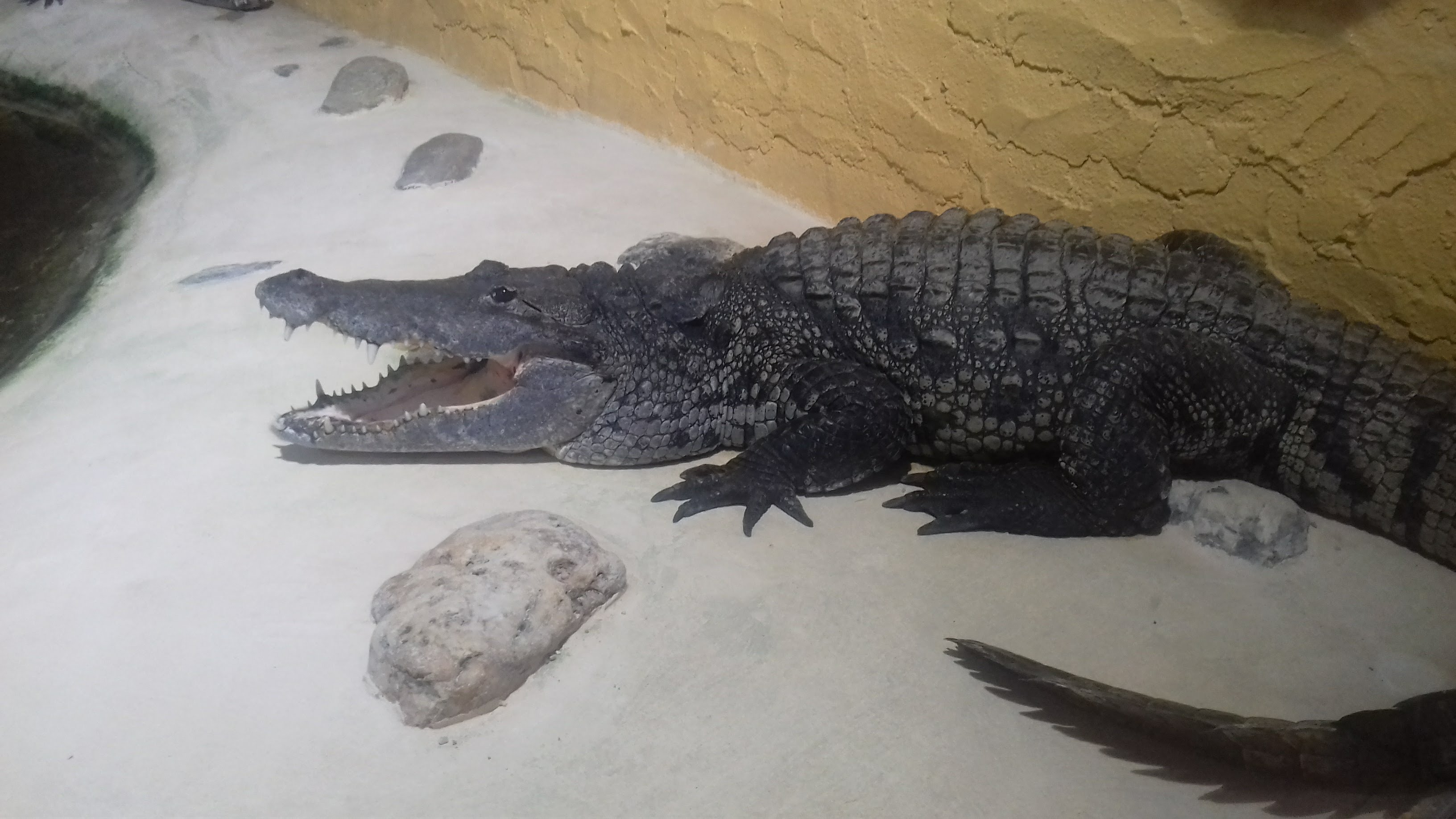 Photo n° 2 de l'avis de Jennifer.i fait le 24/06/2018 à 13:24