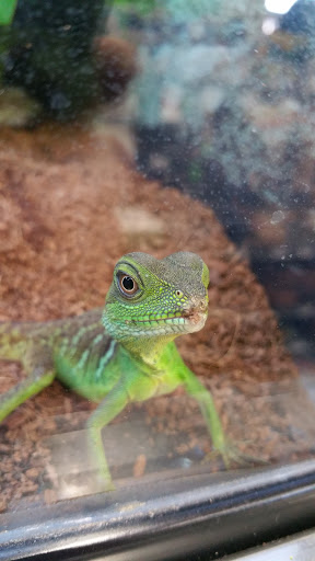 Pet Supply Store «Petco Animal Supplies», reviews and photos, 8966 S Broadway Ave #112, Tyler, TX 75703, USA