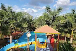 Iguanas Water Park image