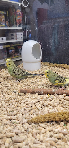 Pet Supply Store «PetSmart», reviews and photos, 2940 Chapel Hill Rd, Douglasville, GA 30135, USA