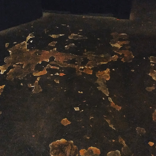 Live Music Venue «Tonic Lounge», reviews and photos, 3100 NE Sandy Blvd, Portland, OR 97232, USA