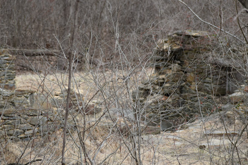 County Government Office «Oregon Ridge Nature Center», reviews and photos, 13555 Beaver Dam Rd, Cockeysville, MD 21030, USA