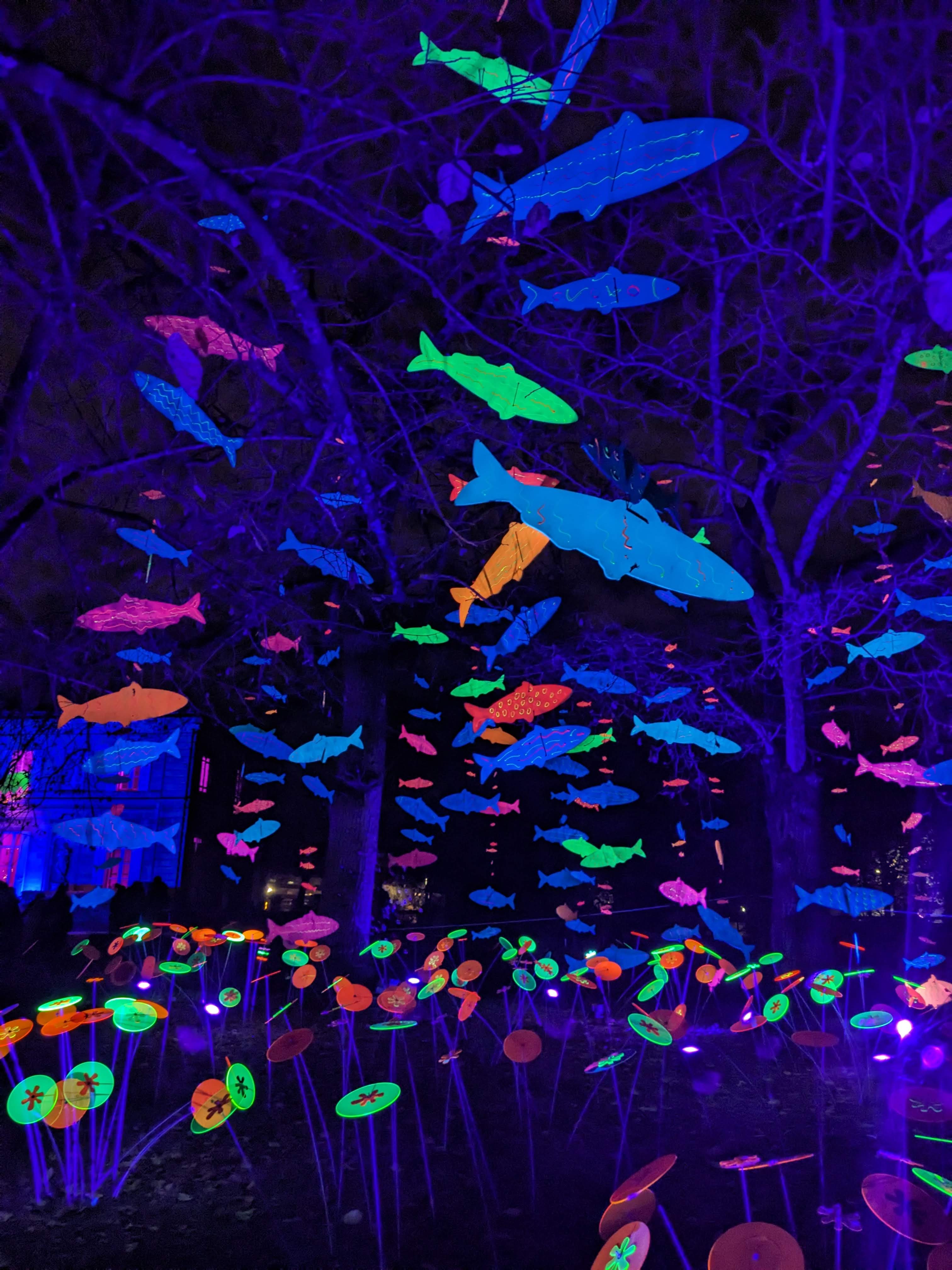 Photo n° 2 de l'avis de Amelie.. fait le 25/12/2023 à 10:19