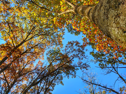 Nature Preserve «Lakewood Forest Preserve», reviews and photos, 27277 N Forest Preserve Rd, Wauconda, IL 60084, USA