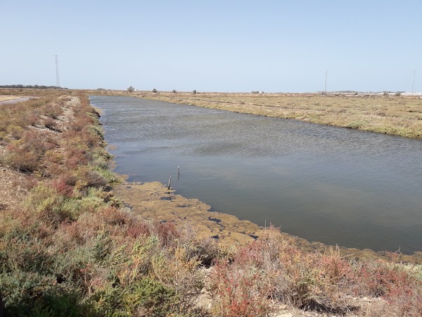 Imagen de Salinas de Chiclana (24 de 30)