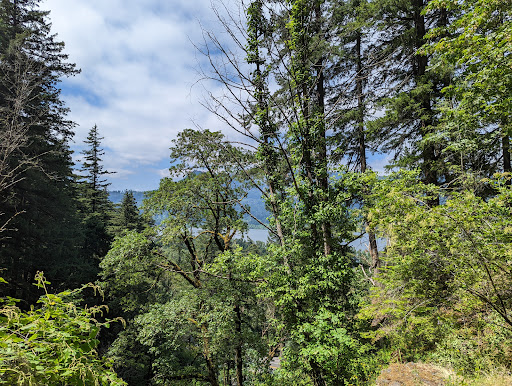 Tourist Attraction «Wahkeena Falls», reviews and photos, Wahkeena Trail #420, Corbett, OR 97019, USA