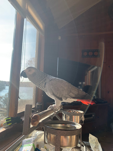 Pet Supply Store «PetSmart», reviews and photos, 139 Radio Dr, Stroudsburg, PA 18360, USA