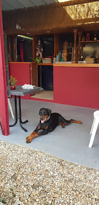 Photos du propriétaire du Café Saint Laurent à Val-de-Saâne - n°4