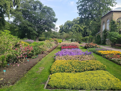Botaniska trädgården Ö:a Vallgatan 20, 223 61 Lund, Sverige