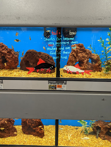 Pet Supply Store «Petco Animal Supplies», reviews and photos, 45205 Worth Ave, California, MD 20619, USA