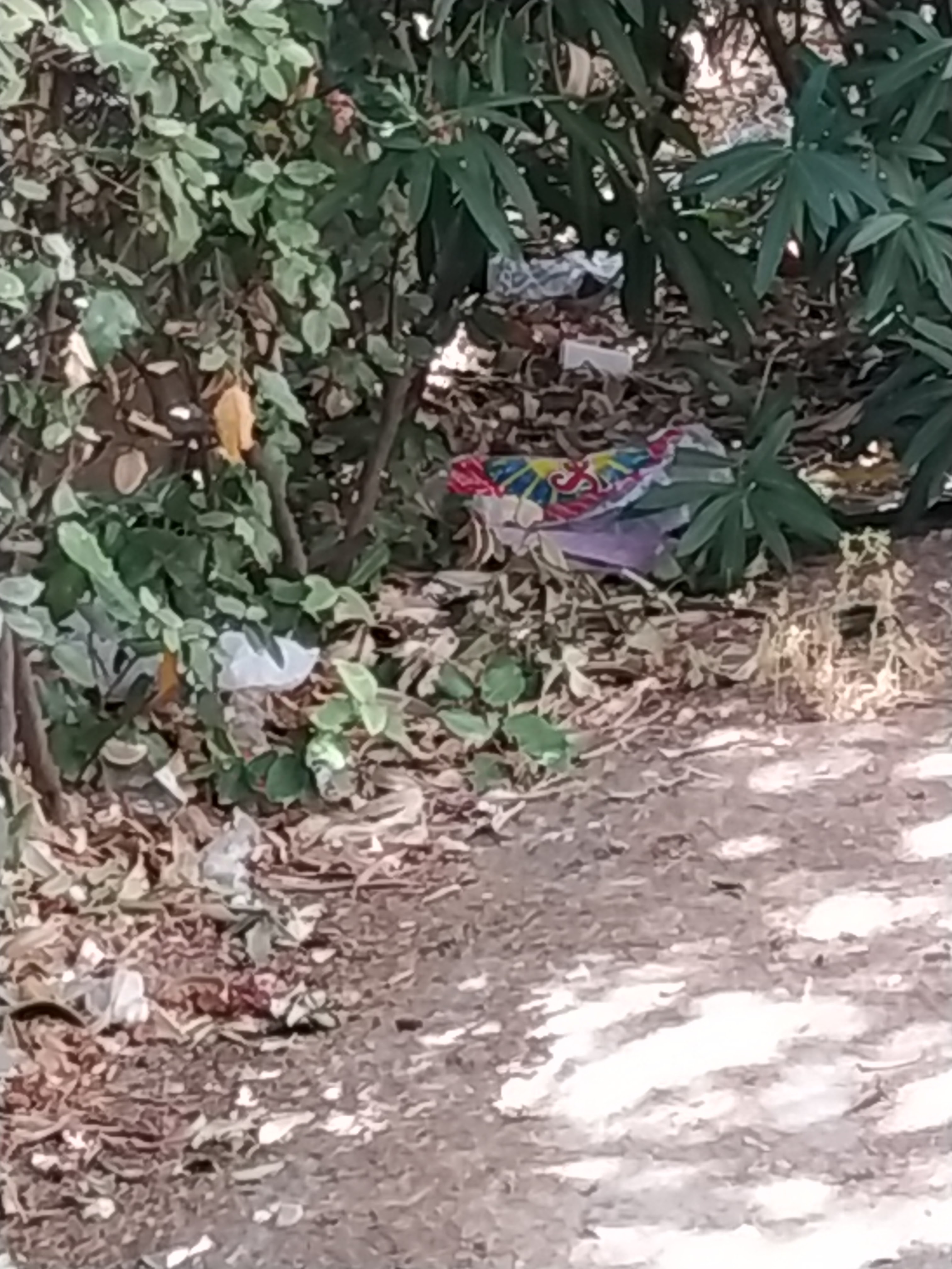 Photo n° 10 de l'avis de Caille. fait le 21/09/2020 à 16:23