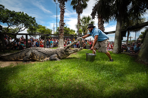 Zoo «Alligator Adventure», reviews and photos, 4604 Hwy 17 S, North Myrtle Beach, SC 29582, USA