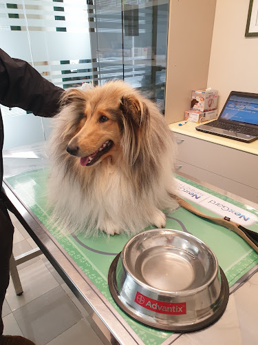 Recensioni di Ambulatorio Veterinario San Domenico a Selvazzano Dentro - Veterinario