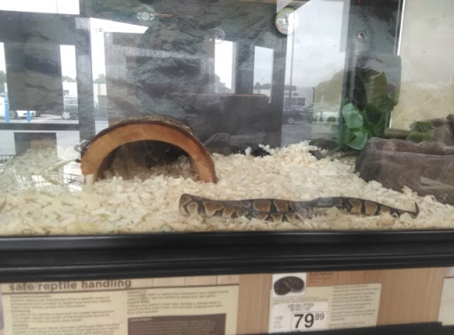 Pet Supply Store «Petco», reviews and photos, 1851 Sunrise Hwy, Bay Shore, NY 11706, USA