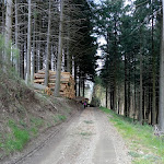 Photo n° 1 de l'avis de masson.e fait le 21/04/2023 à 19:15 pour Col de la Casse Froide à Claveisolles