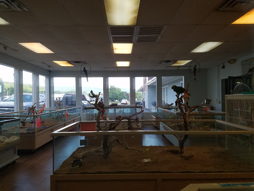 Pet Store «Claremont Pet & Aquarium Center», reviews and photos, 201 Washington St, Claremont, NH 03743, USA