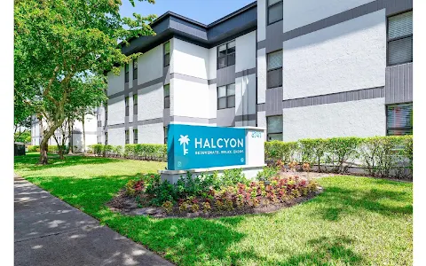 Halcyon image