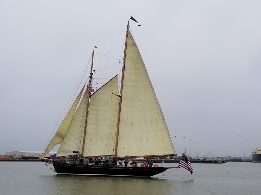 Museum «Texas Seaport Museum», reviews and photos, 2100 Harborside Dr, Galveston, TX 77550, USA