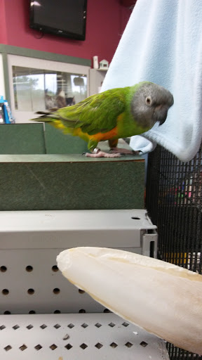 Pet Store «Petland», reviews and photos, 2123 Old Hudson Rd, St Paul, MN 55119, USA