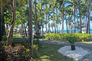 Playa de bachata image