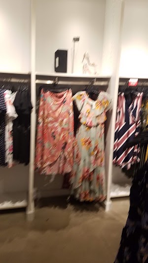  - photo 51