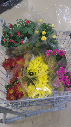 Produce Market «Produce Junction Inc», reviews and photos, 265 S Easton Rd, Glenside, PA 19038, USA