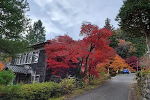 Nosokoyama Forest Park image