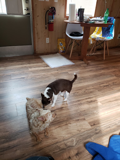 Campground «Holly Shores Camping Resort», reviews and photos, 491 U.S. 9, Cape May, NJ 08204, USA