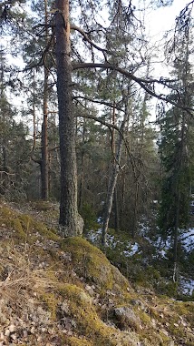 Glänneklätten