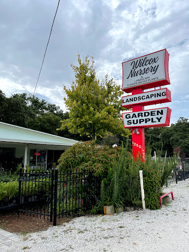Plant Nursery «Wilcox Nursery», reviews and photos, 12501 Indian Rocks Rd, Largo, FL 33774, USA