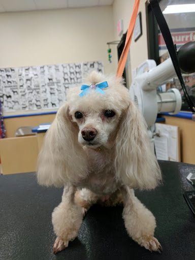 Pet Store «Petsense Pine Bluff», reviews and photos, 5514 S Olive St, Pine Bluff, AR 71603, USA