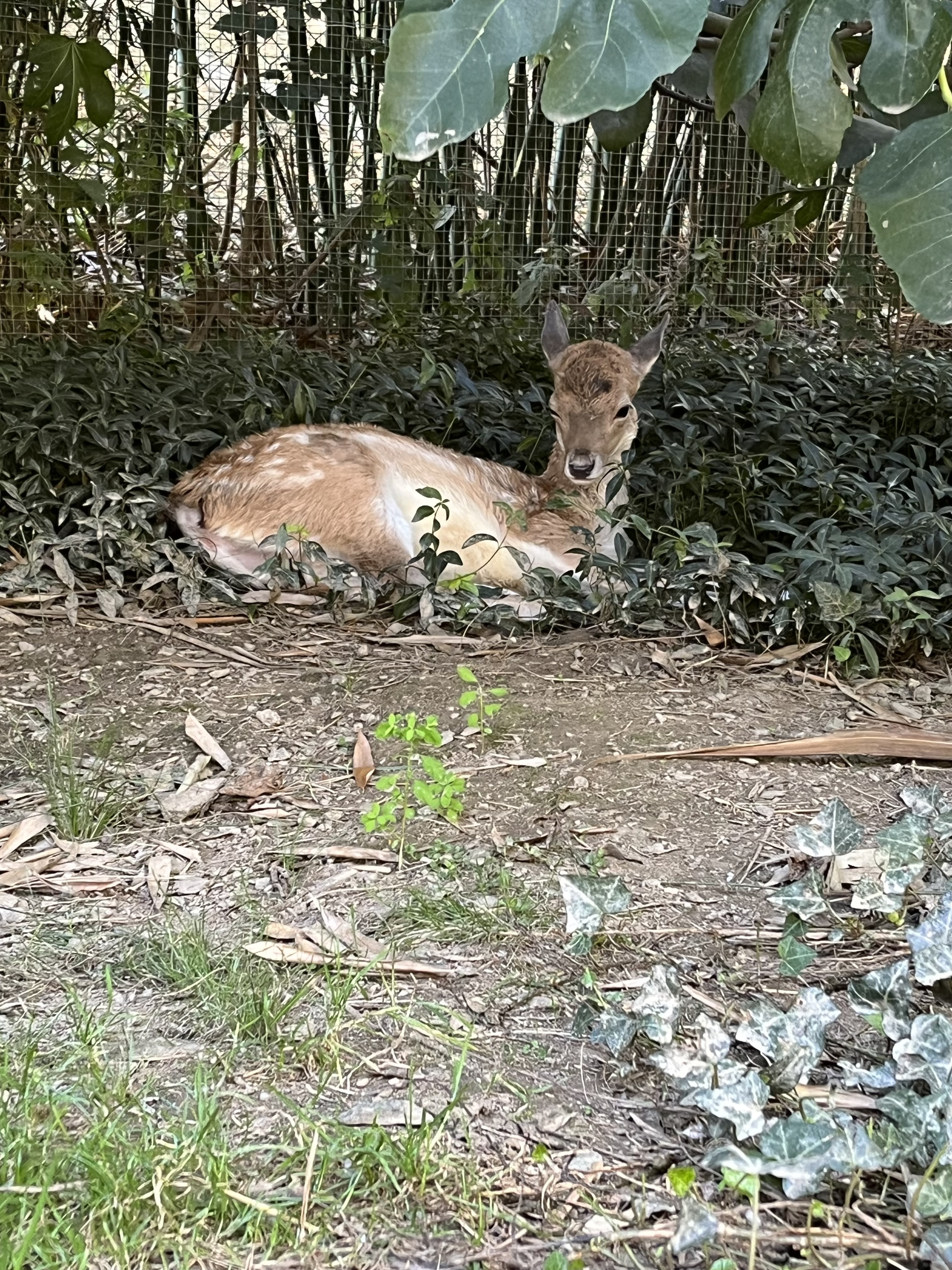 Photo n° 3 de l'avis de alexandra.a fait le 02/08/2023 à 16:52