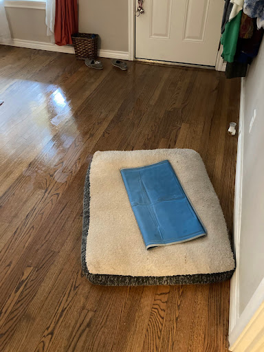 House Cleaning Service «Morehands Maid Service», reviews and photos, 11411 N Central Expy Suite D, Dallas, TX 75243, USA