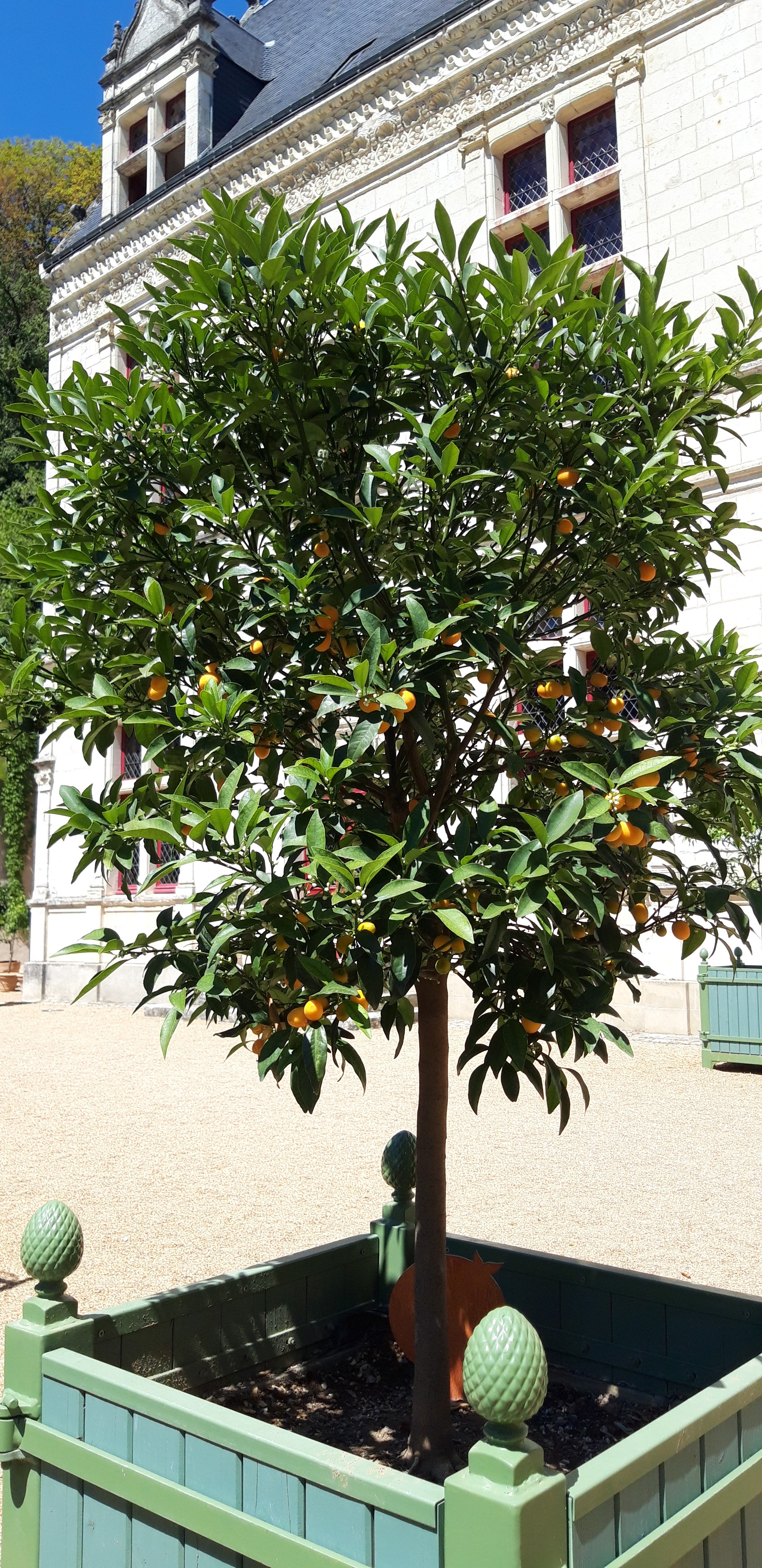 Photo n° 16 de l'avis de Fabienne.A fait le 25/07/2022 à 20:31