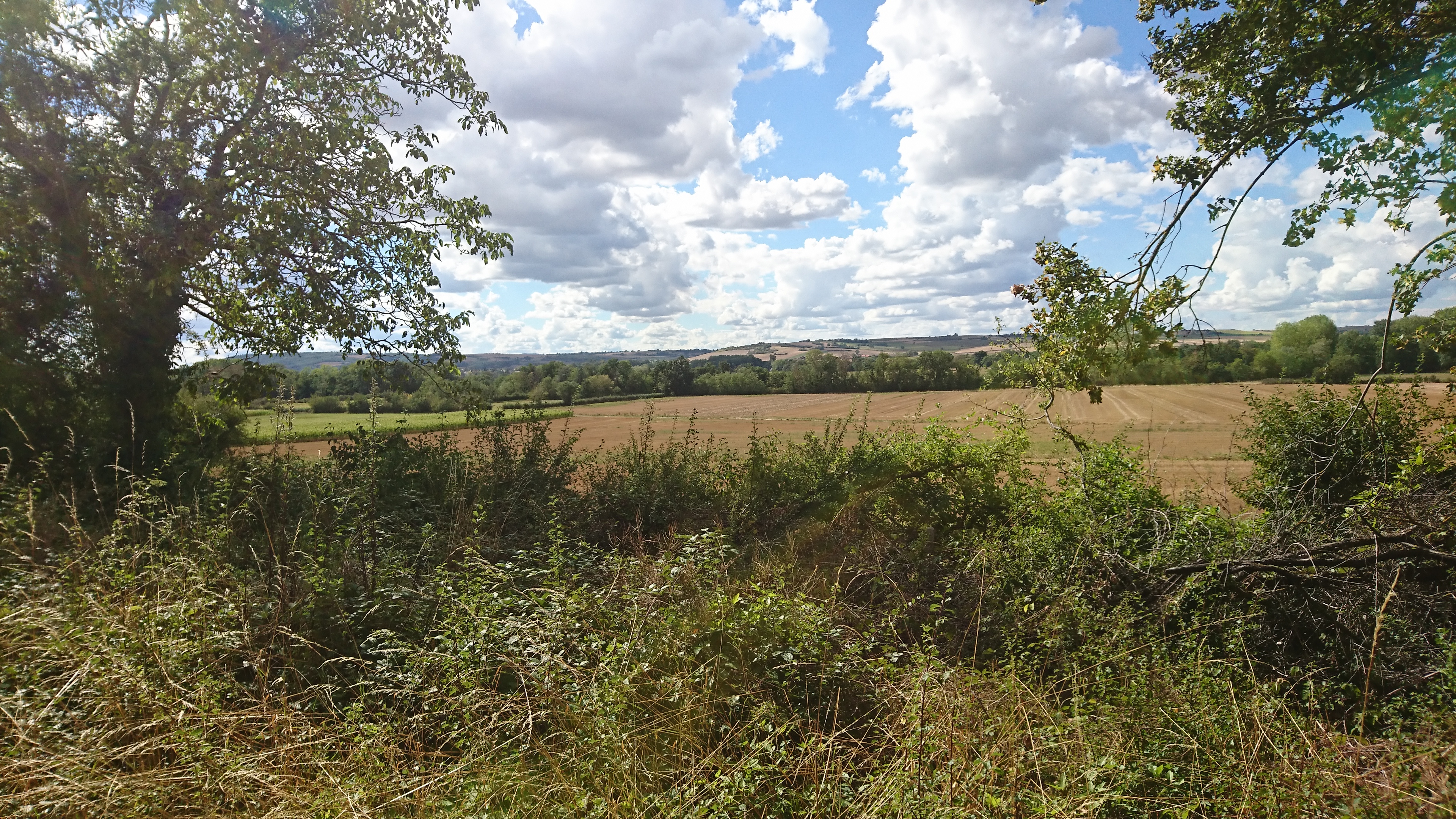 Photo n° 1 de l'avis de Sébastien.u fait le 18/08/2020 à 17:45