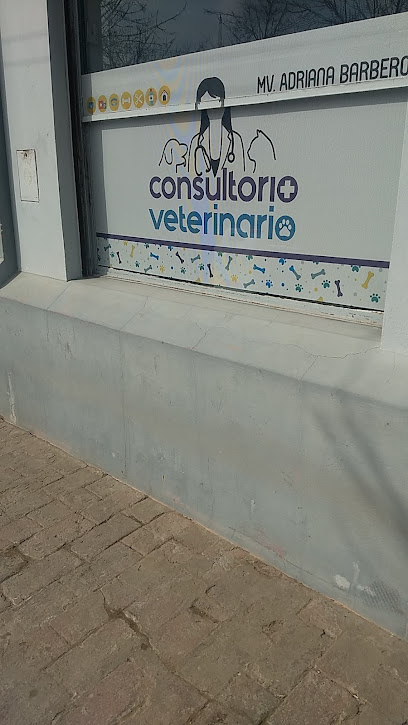 Consultorio Veterinario de Adriana Barbero