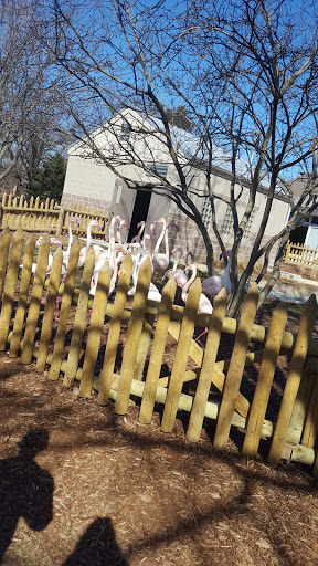 Zoo «Miller Park Zoo», reviews and photos, 1020 S Morris Ave, Bloomington, IL 61701, USA