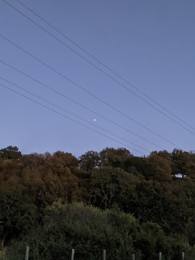 Department Store «Walmart Supercenter», reviews and photos, 350 Walters Rd, Suisun City, CA 94534, USA